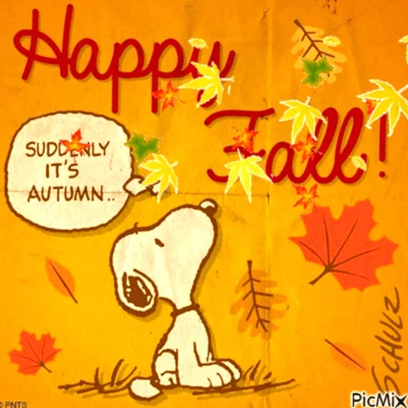 🚨NOTIFICATIONS/SALES PROMOS/OFFERS🚨 - Picture 7 of 8